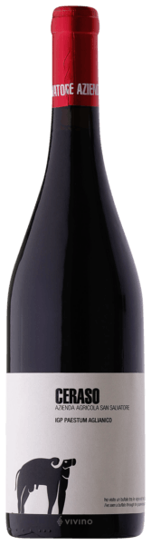 San Salvatore Ceraso Aglianico Paestum 2019