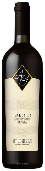 Attilio Ghisolfi Barolo Bussia 2013