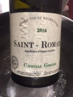 Camille Giroud Saint-Romain 2016