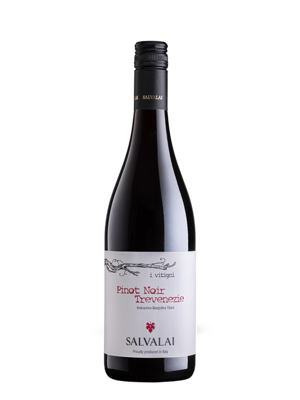 PINOT NOIR, Cantine Salvalai, Trevenzie IGT, Italy 2020