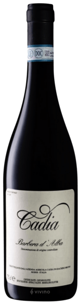 Cadia Barbera d'Alba 2013
