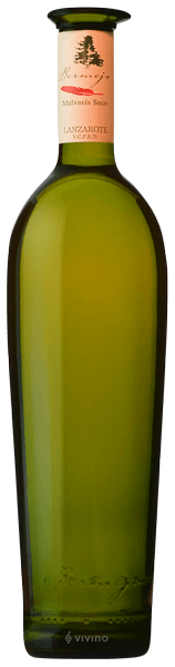 Bermejo Malvas?a Seco 2019