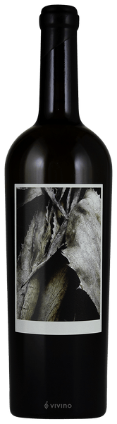 Sine Qua Non Resiste 2013