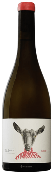 Javi Revert Micalet 2019