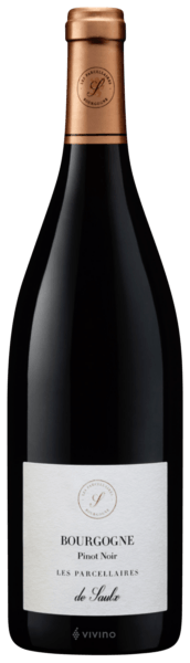 Les Parcellaires de Saulx Bourgogne Pinot Noir 2018