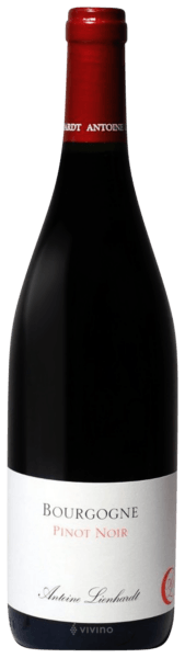 Antoine Lienhardt Pinot Noir Bourgogne 2019