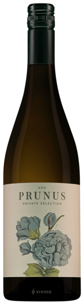 Prunus Private Selection Branco 2020