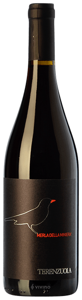 Terenzuola Merla della Miniera 2019