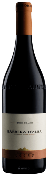 Elvio Cogno Bricco Dei Merli Barbera d'Alba 2019
