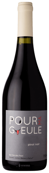 Clos des Fous Pour Ma Gueule Pinot Noir 2019