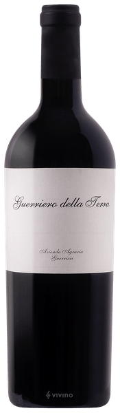 Guerrieri Guerriero della Terra 2019