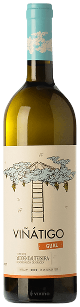 Vi??tigo Gual 2017