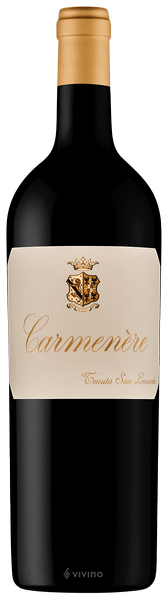 San Leonardo Carmen?re 2015