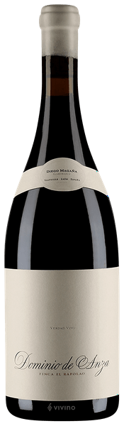 Dominio de Anza Finca el Rapolao 2019