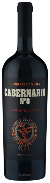 Santa Rita Cabernario No 8 Single Vineyard Cabernet Sauvignon 2017