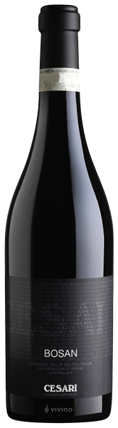 Cesari Bosan Amarone della Valpolicella 2011