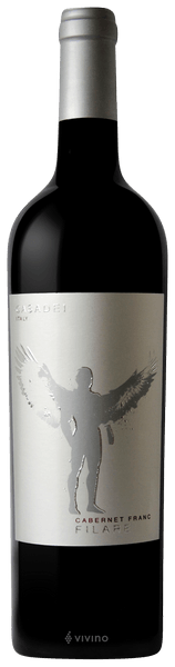 Casadei Cabernet Franc (Filare 18) 2013