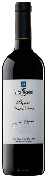 Vi?a Sastre Pago de Santa Cruz Gran Reserva Ribera del Duero 2010