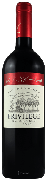 Shiloh Privilege 2018