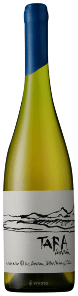 Ventisquero Tara White 1 2017