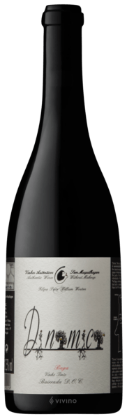 Filipa Pato DNMC - Din?mico Tinto 2021