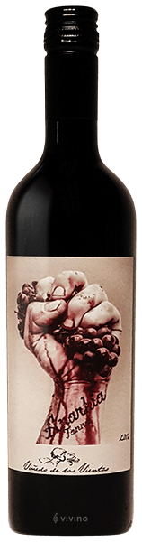 Bodega Pablo Fallabrino Anarkia Tannat 2020