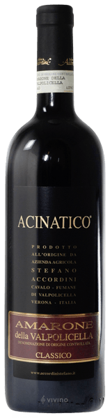 Stefano Accordini Acinatico Amarone della Valpolicella Classico 2017