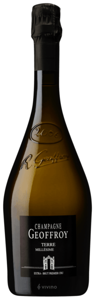 Geoffroy Terre Mill?sime Extra Brut Champagne Premier Cru 2008