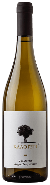 Papagiannakos Kalogeri Malagouzia 2021