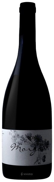 Antoine Sunier Morgon 2018