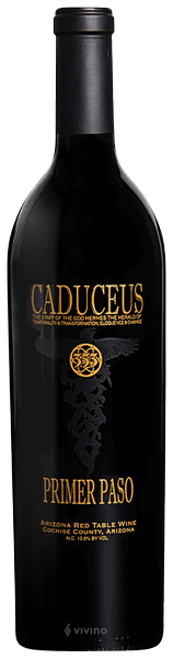 Caduceus Primer Paso 2013