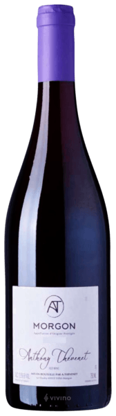 Anthony Thevenet Morgon 2018