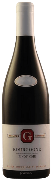 Philippe Gavignet Bourgogne Pinot Noir 2019