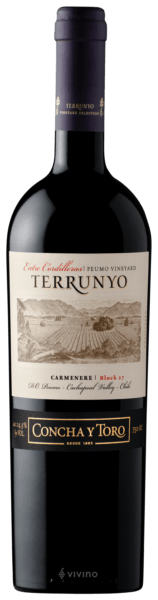 Terrunyo Carm?n?re (Peumo Vineyard Block 27) 2016