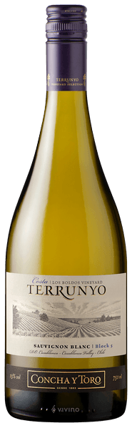 Terrunyo Sauvignon Blanc 2017