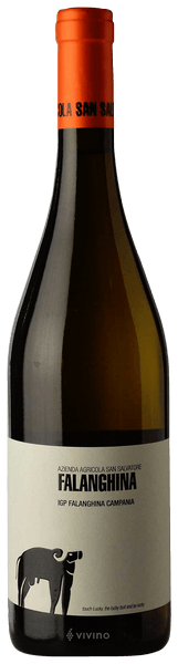 San Salvatore Falanghina Campania 2021