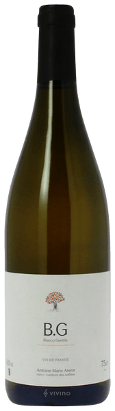 Antoine-Marie Arena Bianco Gentile 2015