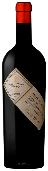 Pascual Toso Finca Pedregal Single Vineyard Malbec - Cabernet Sauvignon 2014