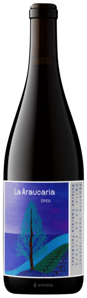 Dolores Cabrera Fernandez La Araucaria Tinto 2020