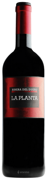 Arzuaga La Planta 2019