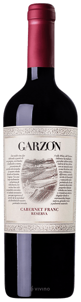 Bodega Garz?n Reserva Cabernet Franc 2020