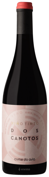 Cume do Avia Tinto dos Canotos 2017