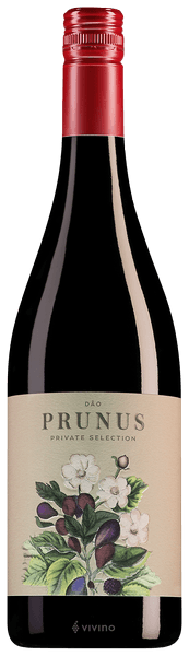 Prunus Private Selection Tinto 2019