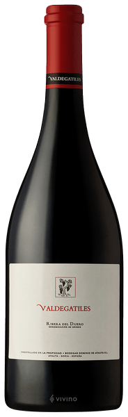Dominio de Atauta Valdegatiles Ribera del Duero 2009