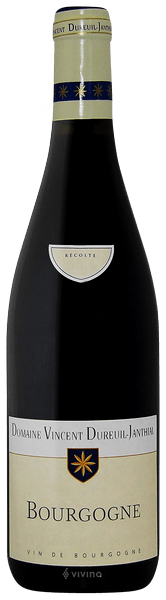 Domaine Vincent Dureuil-Janthial Bourgogne Rouge 2019