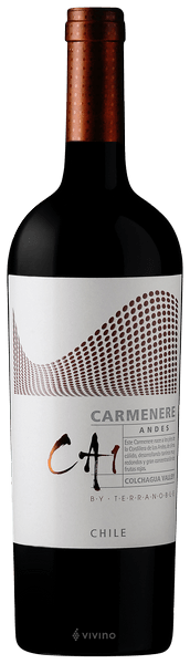 TerraNoble CA1 Andes Carmen?re 2013