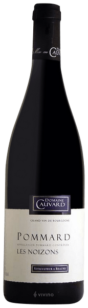 Domaine Cauvard Pommard 'Les Noizons' 2017