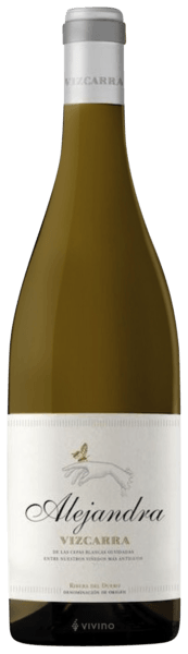 Vizcarra Alejandra 2019