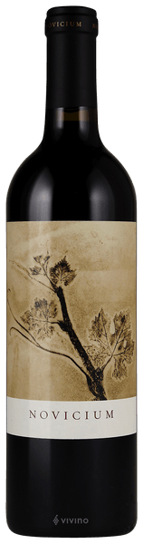 Continuum Novicium 2011