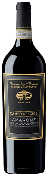 Tenuta Sant'Antonio Campo dei Gigli Amarone della Valpolicella 2015